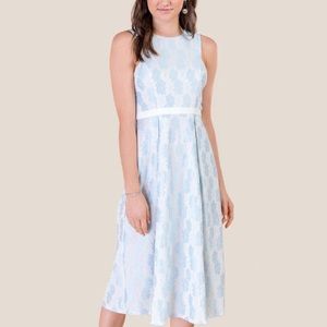FRANCESCA’S Lace Midi Dress